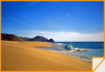 Una spiaggia di Baja California